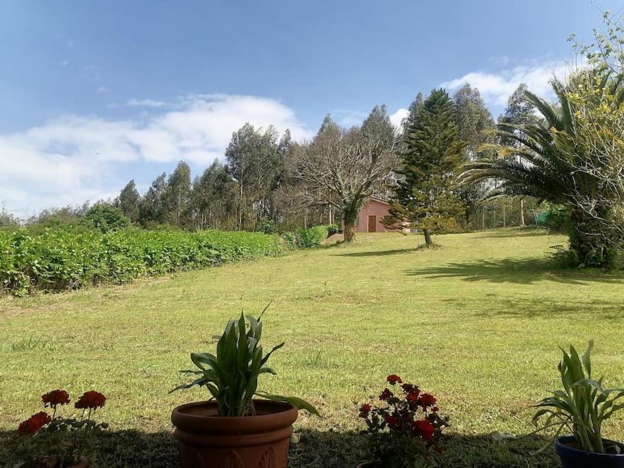 فيلا La Casa Azul De Lua Un Lugar Magico Juncedo المظهر الخارجي الصورة