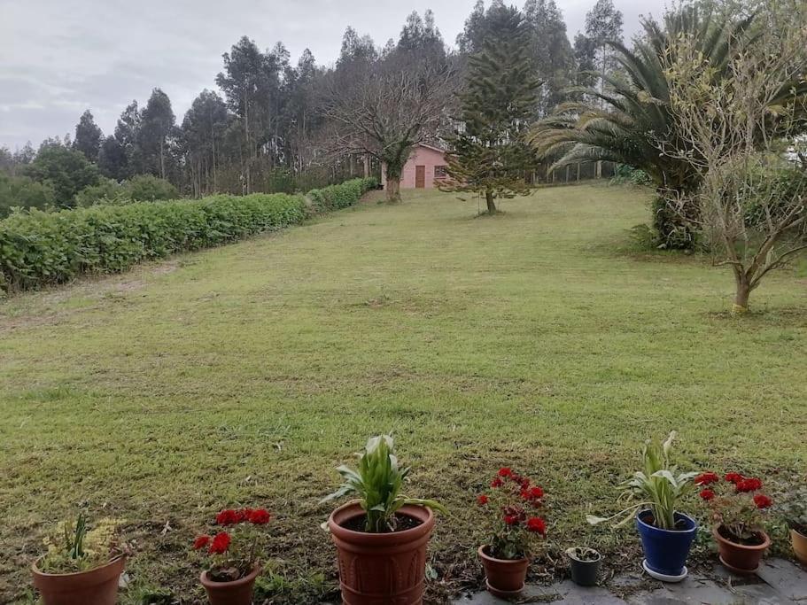 فيلا La Casa Azul De Lua Un Lugar Magico Juncedo المظهر الخارجي الصورة
