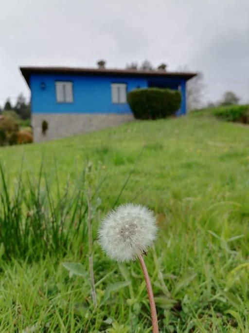 فيلا La Casa Azul De Lua Un Lugar Magico Juncedo المظهر الخارجي الصورة